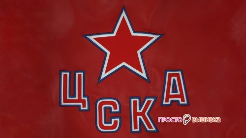 tscska_leather